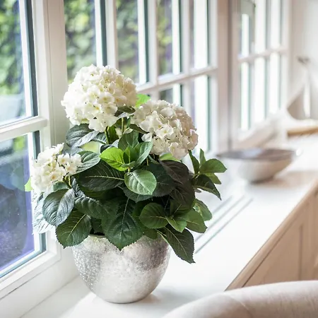 Hingstwai 12 Dom wakacyjny Keitum